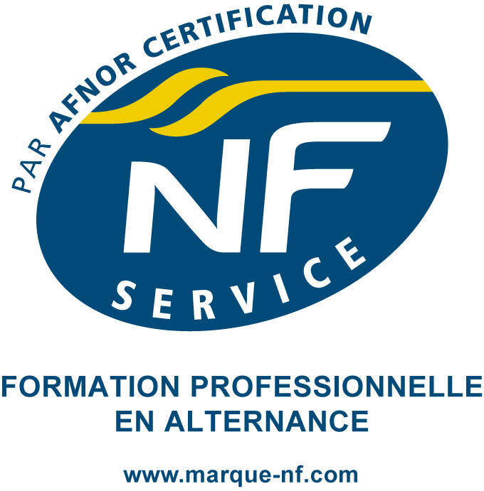NFS_Formation-professionnelle-alternance