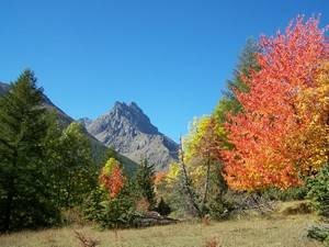 photo de montagne avec des arbres au premier plan au couleur de l'automne
